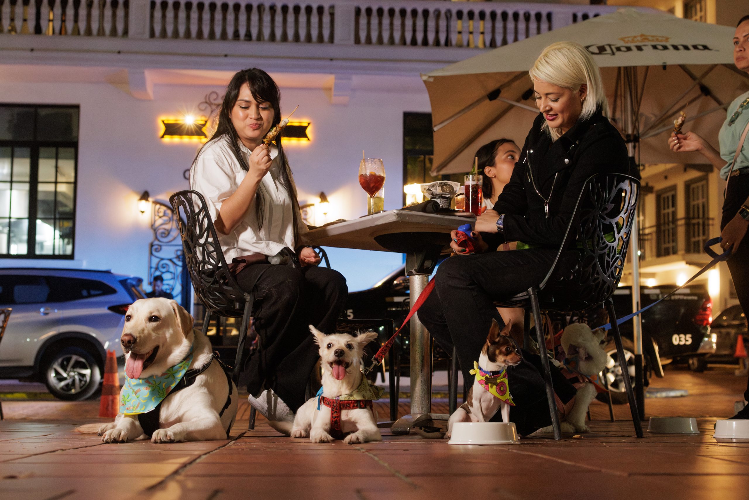 6M4A7586-Enhanced-NR, CC Pet Friendly, March 27, 2024